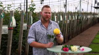 Elite Flower, Jacob Mccall 1