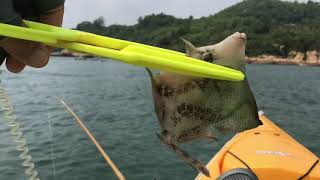 半天釣魚自由行：-早上八點十月一，半天釣魚實難得，有湯有餸口福至，下次作釣星期七。