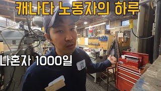 캐나다 시골 베리에 사는 노동자 직장 일상생활 살펴보기