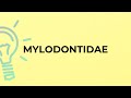 What is the meaning of the word MYLODONTIDAE?