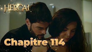 Hercai | Chapitre 114