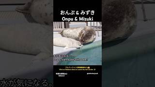 おんぷ\u0026みずき Onpu\u0026Mizuki 男鹿水族館GAO