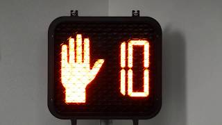 Pedestrian Countdown Signal (Dialight 430-6479-001X)