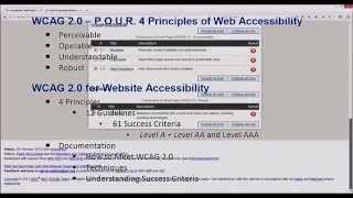 WCAG-WAI Basics