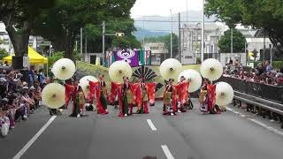 「kagura『九重 (ここのえ) -絢爛豪華-』※パレード」豊川よさこいinおいでん祭2018