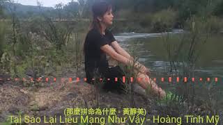 Tại Sao Lại Liều Mạng Như Vậy - Hoàng Tĩnh Mỹ ( 那麼拼命為什麼- 黃靜美）