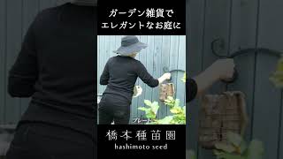 お庭の雰囲気が変わる【ガーデン雑貨】 #shorts