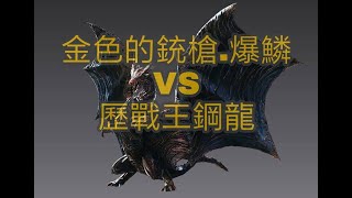 《MH World》銃槍單殺歷戰鋼龍王 7\