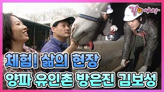 [체험! 삶의 현장] 양파 유인촌 방은진 김보성 | 180회 KBS 1997.05.12. 방송