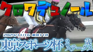 2024/11/16  東京⒒R　　東京スポーツ杯2歳ステークス　　#クロワデュノール