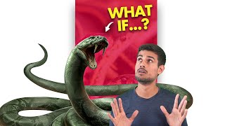 What if a Snake Bites you?