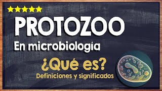 🙏 ¿Qué es un protozoo? - Glosario de microbiología 🙏