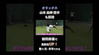 【オリックス 山本 由伸投手も採用】クセ体操で柔軟性UP⚾️ #オリックス #山本由伸 #トクサンtv切り抜き