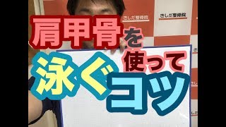 水泳【どうやって肩甲骨を使って泳ぐの？】 肩甲骨が勝手に動いてしまう泳ぎのコツ