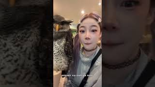 【叶咕】来日本我只干，，，一件事儿，，， #欢迎来到我的精神世界 #猫头鹰#tiktok #beauty #cute #daliyvlog #funny #fyp