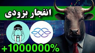 فرصت طلایی برای پولدار شدن 🔥 خرید این پنج ارز آیندتو میسازه