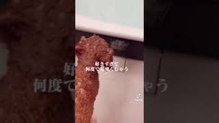 【TikTok】おすすめ犬動画