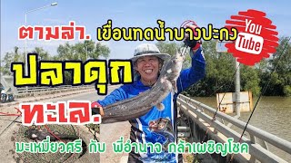 #ตกปลากับมะเหมี่ยวศรี ทริปปลาดุกทะเล​หมายเขื่อนทดน้ำบางปะกง​ Seacatfishfishingมีแต่ MONSTER​  EP.109