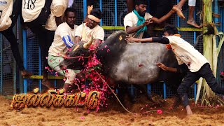 வீரர்களை தெரிக்கவிட்ட காளைகளின் தரமான விளையாட்டு | Tamilnadu | Karungulam Jallikattu