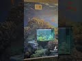 diy aquarium wall project tell me what you think…