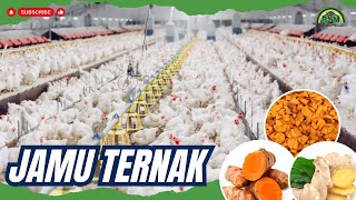 PRAKTEK MEMBUAT JAMU TERNAK