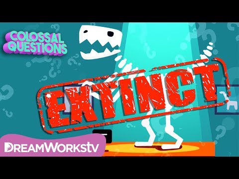 What causes animals to become extinct?