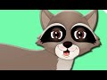 Raccoon - Animal Rhymes in Ultra HD (4K)