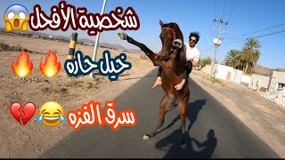 # فلوق (15)  ركوب +سابق الفحل اذا مافرضت هيبتك عليه بيفرضها عليك🐎😅