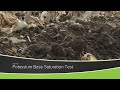 Potassium Base Saturation Soil Test (From Ag PhD #1176 - Air Date 10-18-20)