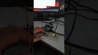 The Raspberry Pi Platform and Python Programming for the Raspberry Pi - Final Assignment