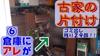 実家の片付け⑥【外周】不用品ナシ！の物置小屋を一応調べる\u0026アジサイ・ミョウガ