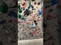 長崎遠征 ボルダリング bouldering climbing kids