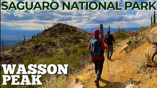 Saguaro National Park - Wasson Peak Day Hike