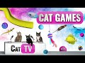 CAT Games | Ultimate Cat TV Compilation Vol 33 | 2 HOURS 🐝🐞🦋🦎🦜🐜🐭🧵