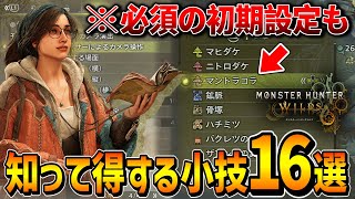 【得する小技・小ネタ】ワイルズ発売直前に絶対に知っておきたい小技16選+オススメ初期設定を解説！！！【MHWs/モンハンワイルズ】