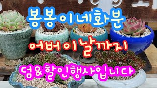 5월5일 #봉봉이네화분#수제다육화분#골고루덤\u0026할인행사입니다