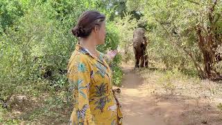 Saba Douglas-Hamilton: In the Footsteps of Elephants | Trailer