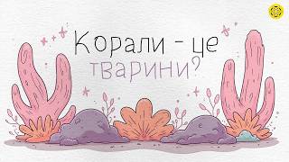 ЯК багато ВИ ЗНАЄТЕ про КОРАЛИ? | коралові рифи - цікаві факти