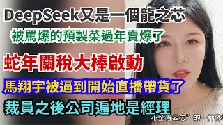 蛇年關稅大棒啟動。DeepSeek又是一個龍之芯。被罵爆的預製菜過年賣爆了。馬翔宇被逼到開始直播帶貨了。裁員之後遍地是經理。