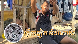 Fishing without fishing rod - ស្ទួចត្រីឈ្វៀតលេងសប្បាយ ហើយធំៗទៀត #04