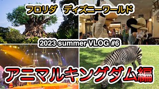 フロリダ ディズニーワールドVLOG 【#6】熱中症になった最終日