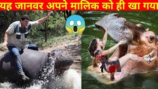 कैसे यह पालतू जानवर अपने ही मालिक के टुकड़े-टुकड़े करके मार डाला 😱 #shorts