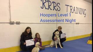 KRRs Training - Hoopers Beginners Level 1 Assessment Night