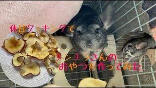 【休日シリーズ】ツンデレなチンチラさんと美味しいりんご