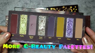 My Eyeshadow Palette Collection Part 2 | More C-Beauty Brands