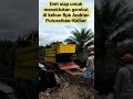 Alat langsir atau angkut sawit yang paling modern dan paling murah serta efisien utk di lahan gambut