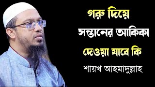 গরু দিয়ে সন্তানের আকিকা দেওয়া যাবে কি?Shaykh Ahmadullah