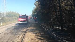 ZADARSKI.HR Veliki požar na Zrću 16.7.2019.