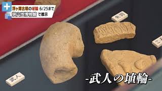 喜志南遺跡 浮ヶ澤古墳の埴輪　狭山池博物館で展示（2023年6月22日アップロード）