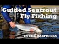 Guided Seatrout fishing in the Baltic Sea in Sweden